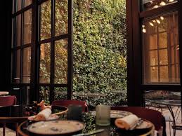 Interior courtyard of a narrow converted townhouse with planting along one wall